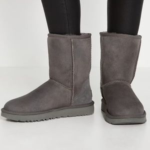 Short Grey Uggs